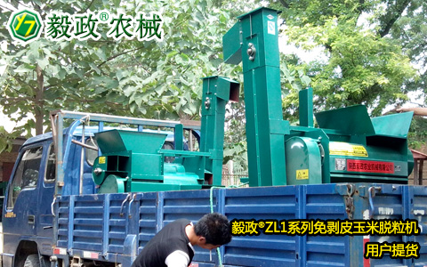 外地客戶來我司提取2臺毅政牌ZL1D型電機式免剝皮玉米脫粒機