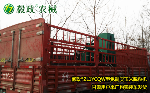 甘肅客戶來(lái)廠購(gòu)買(mǎi)裝車毅政牌ZL1YCQW型免剝皮玉米脫粒機(jī)