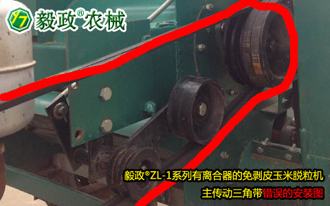 毅政牌ZL1系列有離合器的免剝皮玉米脫粒機(jī)，主傳動(dòng)三角帶錯(cuò)誤安裝