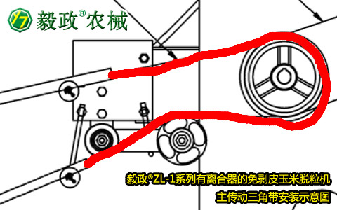 毅政牌ZL1系列有離合器的免剝皮玉米脫粒機(jī)，主傳動(dòng)三角帶正確安裝
